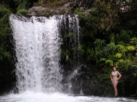 Cascade Langevin