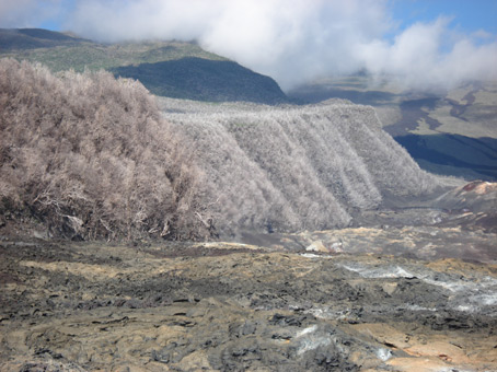 Volcan 3